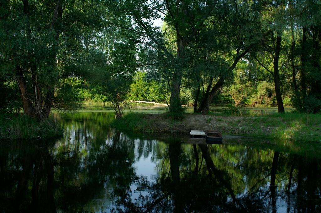 Hotel Alba Regia Pansion Egri Jahodná Zewnętrze zdjęcie